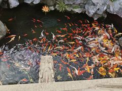 -西林禅寺