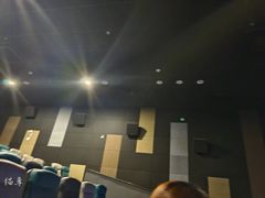 -紫东世纪影城(全景声.巨幕影院)