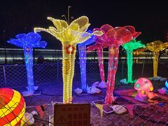 -杨柳青古镇