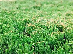 -南京奥林匹克体育中心-体育馆