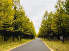 -塞罕坝国家级自然保护区