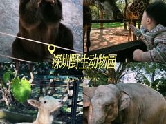 -深圳野生动物园