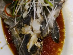 -海岛渔村大酒店(云霄路店)
