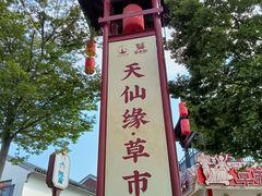 -东台西溪天仙缘景区