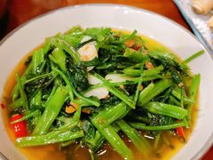 泰式空心菜-荷花泰菜(东方新天地店)