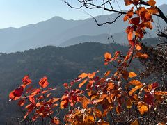-北京鹫峰国家森林公园