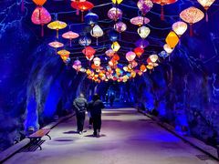 -栾川竹海野生动物园