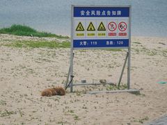 -海驴岛(荣成市)