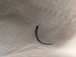 -1R日式轻奢美睫美甲翘睫