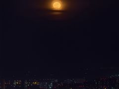 -龙塔