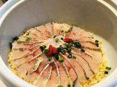 翅汤活鱼捞饭-悦江(梅奔中心店)