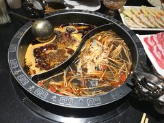 -大渝火锅(苏州西城永捷店)