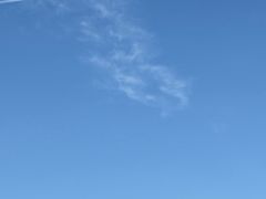 -野狸岛
