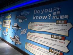 -重庆欢乐海底世界