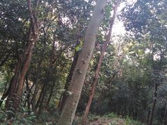 -玉女潭景区