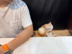 -龍記飯店