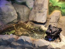 点击看大图 -酷嗒动物文化乐园(cutezoo西溪乐天城店)