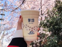 -茉沏(光启城店)