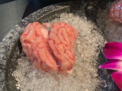 热气鲜猪脑-哥老官重庆美蛙鱼头(宝山龙湖店)