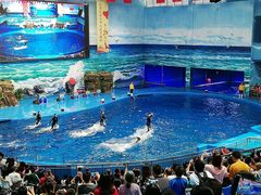 -多彩贵州城极地海洋世界