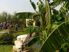 -武清南湖绿博园