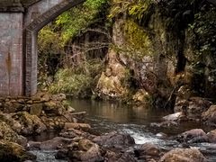 -广州市石门国家森林公园