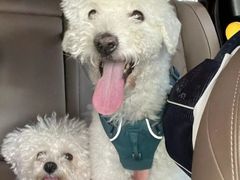 -小意思咖啡店(草桥店)