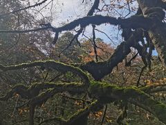 -龙苍沟森林公园