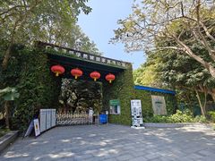-华侨城湿地公园