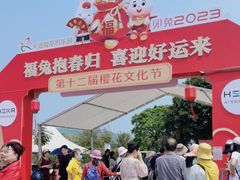 -天适樱花悠乐园