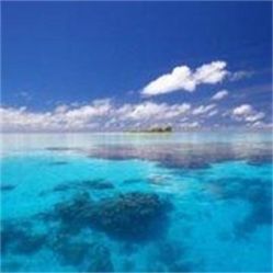 -薇兰专业脱毛连锁机构