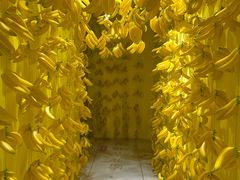 -福州奇幻解压馆(东泰禾旗舰店)