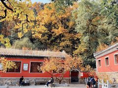 -潭柘寺景区