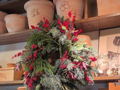 -自由生长植物工作室(深港花卉中心店)