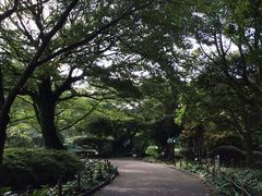 -汉拿树木园