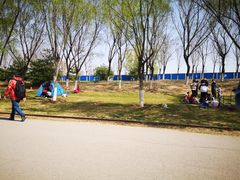 -永定河休闲森林公园