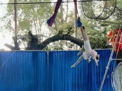 -泉州海丝野生动物世界