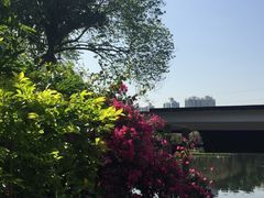 -晓港公园