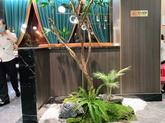 -刘胖子家常菜·蹄花焖藕(中南店)