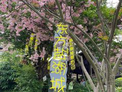 -茅山东方盐湖城景区