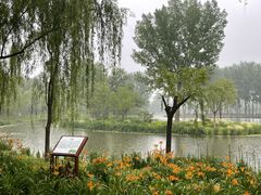 -东郊湿地公园