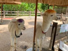 -珠海海泉湾神秘岛亲子乐园