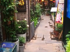 -四喜小胖·北京涮肉(五道营店)