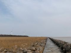 -奉贤海滩