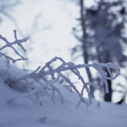 -大秃顶子山(雪谷店)