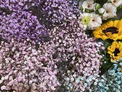 -双季花艺园艺市场(浦东店)