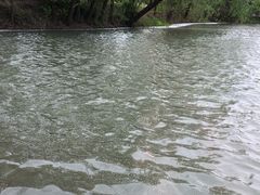 -长兴太湖图影湿地文化园