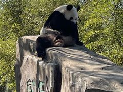 -宁波野生动物园
