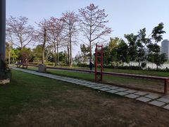 -飞凤山奥体公园
