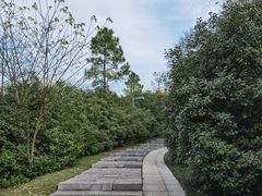 -天生桥景区